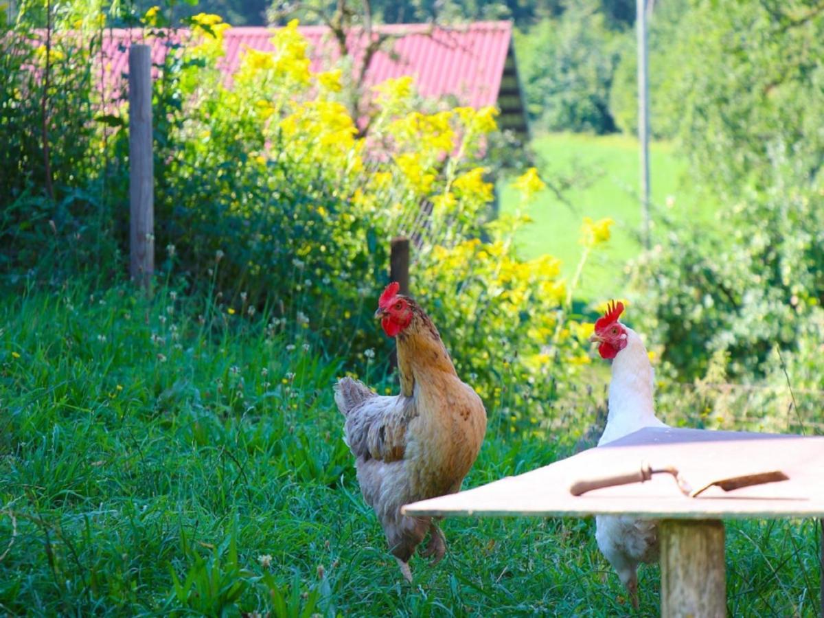 Ferienwohnungen Berger Scheidegg Εξωτερικό φωτογραφία